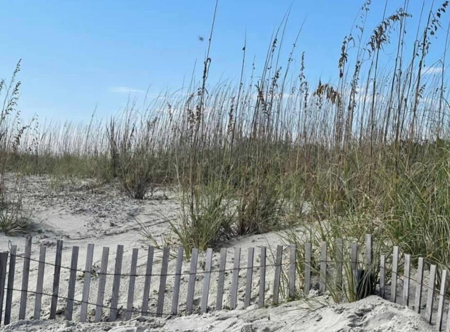 Marriott'S Monarch At Sea Pines Hotell Hilton Head Island Eksteriør bilde